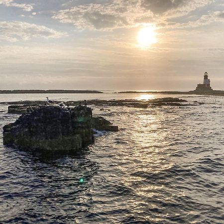 Dipper Cottage Seahouses Zewnętrze zdjęcie