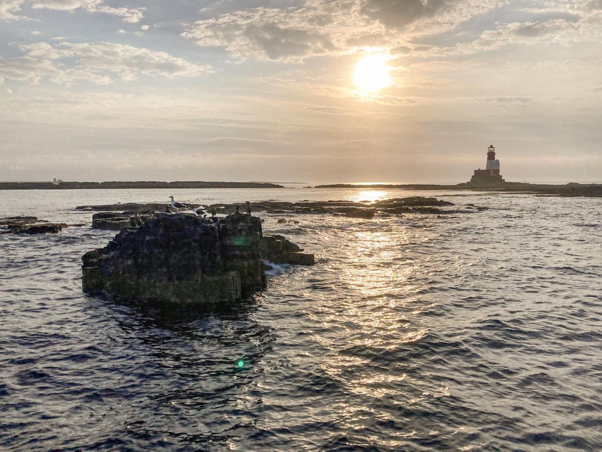Dipper Cottage Seahouses Zewnętrze zdjęcie