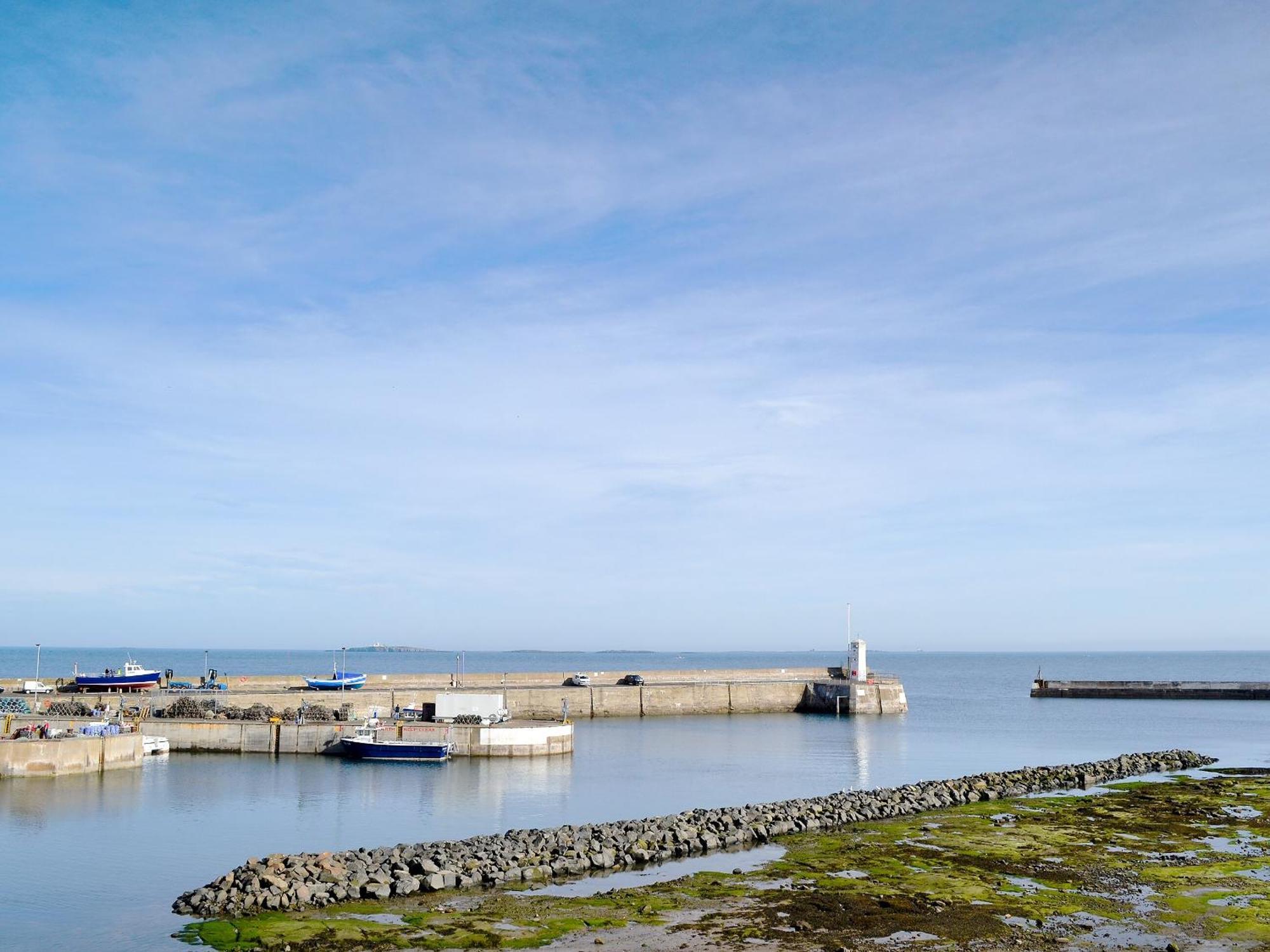 Dipper Cottage Seahouses Zewnętrze zdjęcie